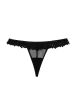 Hustler Margot Black Lace and Mesh Hipster Brief Online