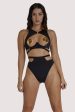 Regalia Zadie High Waist Brief on Sale