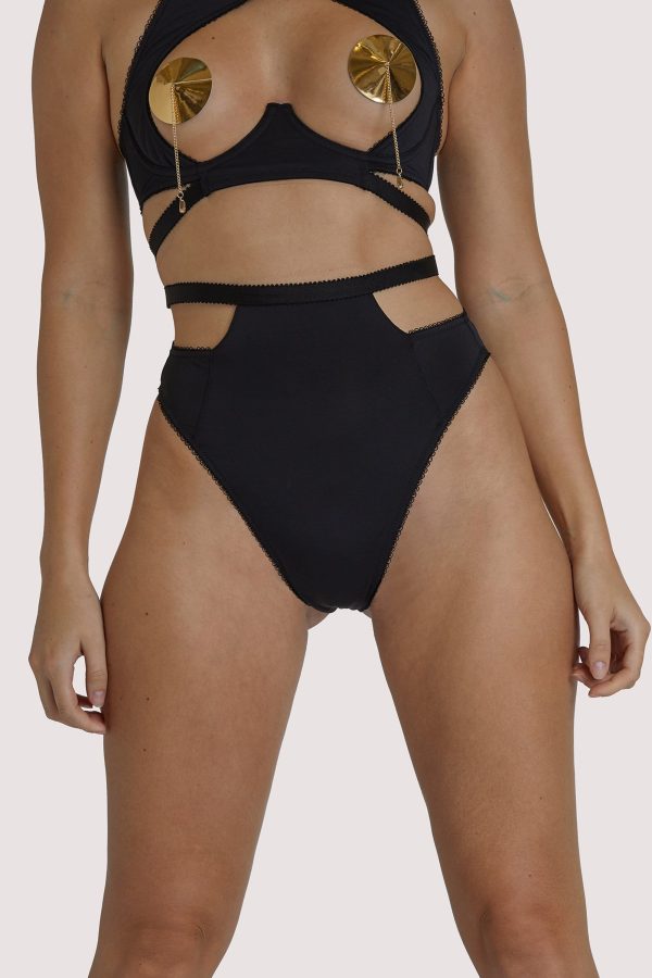 Regalia Zadie High Waist Brief on Sale