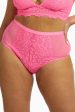 Pink Bella Lace High Waist Brief For Sale