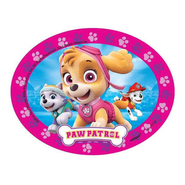 PAW PATROL GIRL FAVOR PACK (48 PK) Online Hot Sale