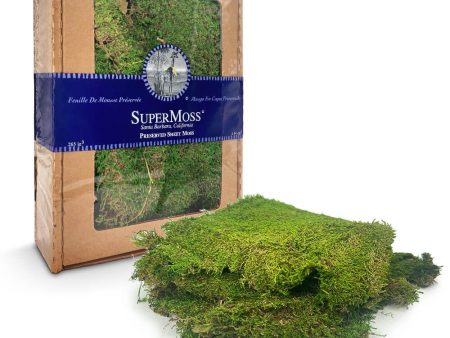 PRESERVED SHEET MOSS Online