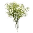 24 inch BABY S BREATH - CREAM Online Hot Sale