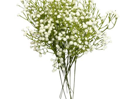 24 inch BABY S BREATH - CREAM Online Hot Sale